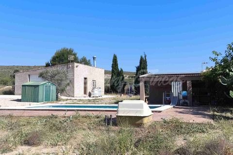 Landejendom i Caudete, Albacete, Caudete - € 165.000 | Ref: SF0576 - foto 17